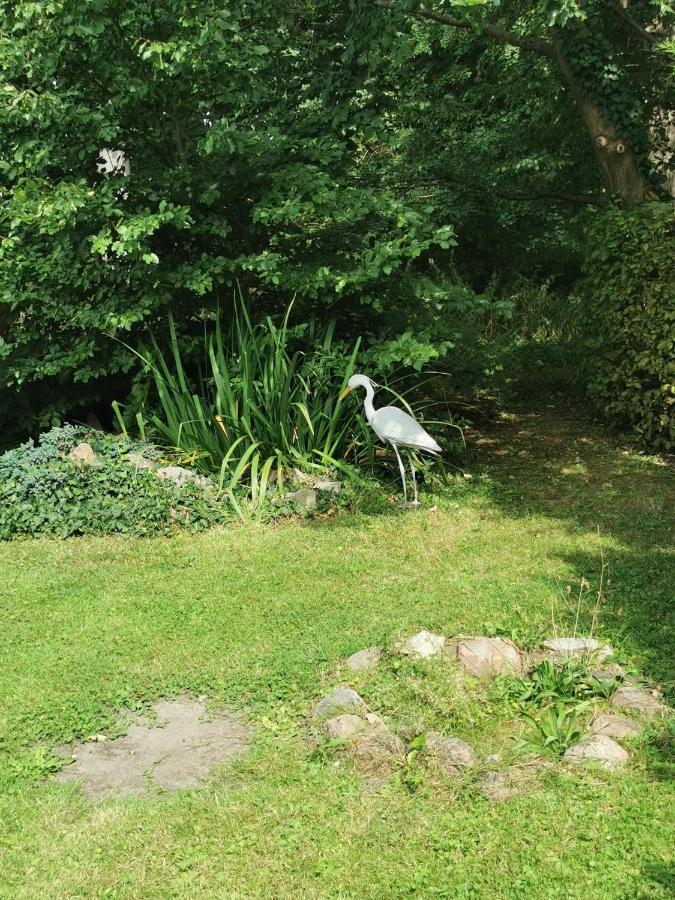 Pension Zum Park Goldberg Exterior foto